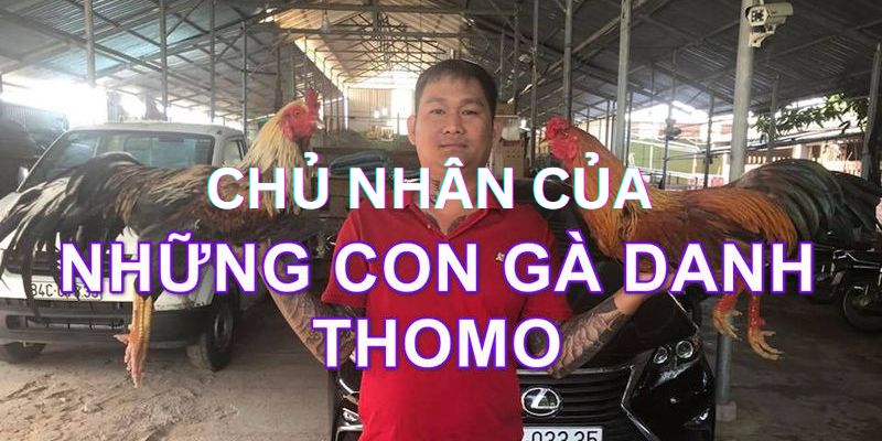Những chủ nhân của gà danh Thomo